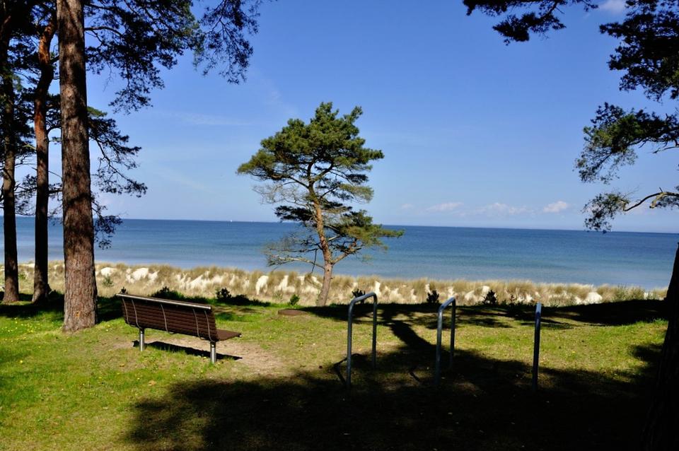 Thumbnail-***OSTERN, FERIENHAUS AN DER OSTSEE, BARRIEREFREI, MIT HUND***