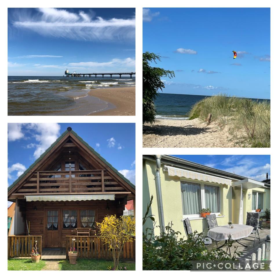 Thumbnail-Insel Usedom Ferienhaus & Ferienwohnung noch freie Urlaubszeiten