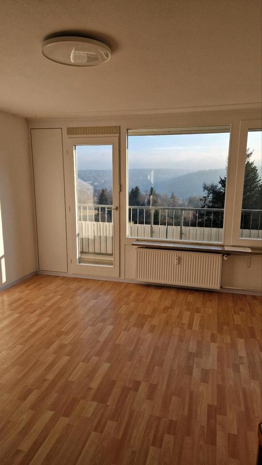 Thumbnail-1-Zimmer Wohnung in Freudenstadt