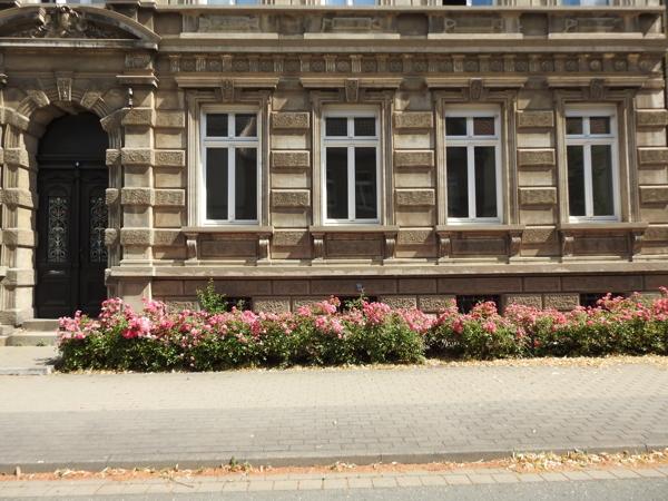 Thumbnail-Große Altbauwohnung im Herzen von Aschersleben