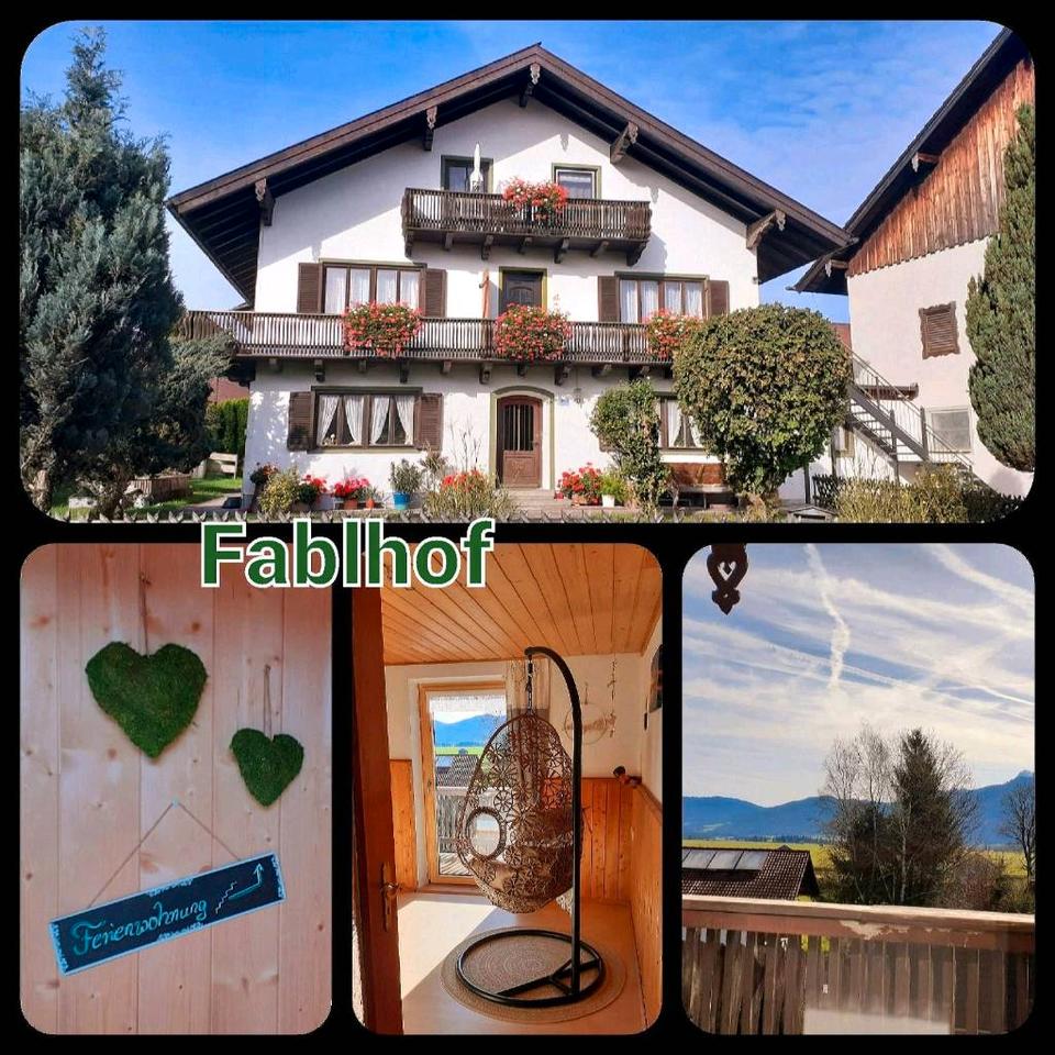 Thumbnail-Ferienwohnung 