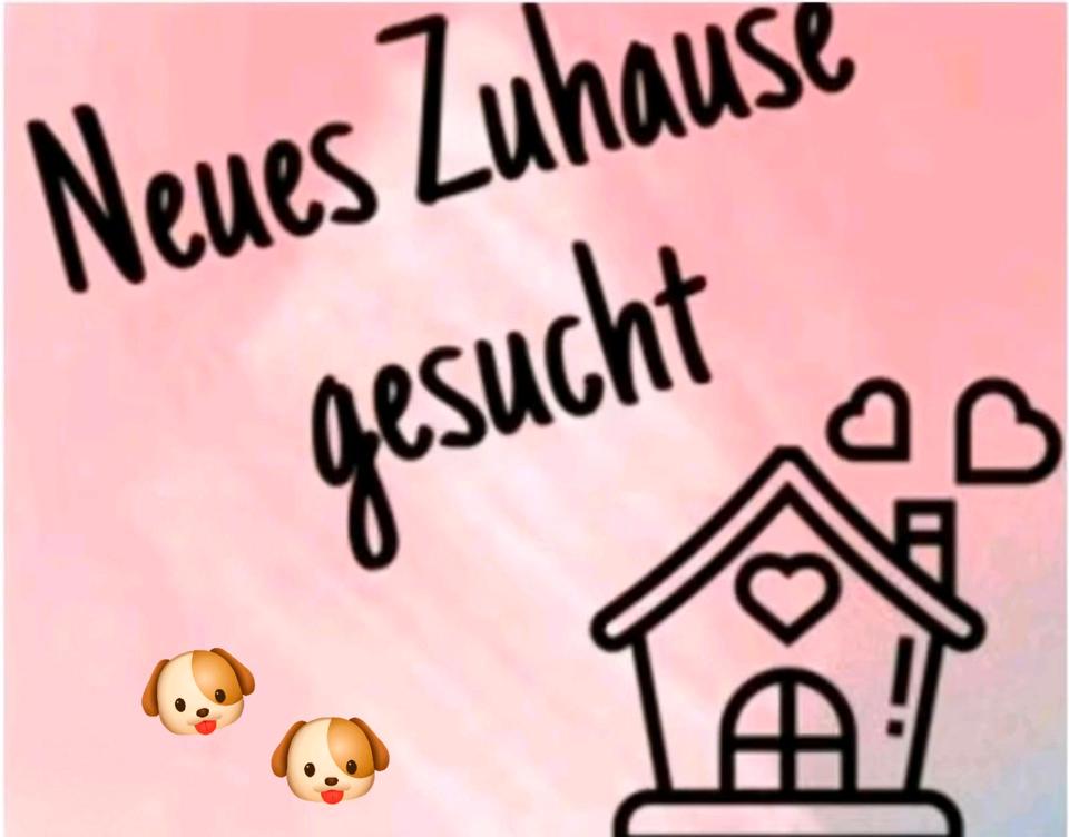 Thumbnail-Erdgeschoss mit Garten oder Dachgeschoss mit Aufzug