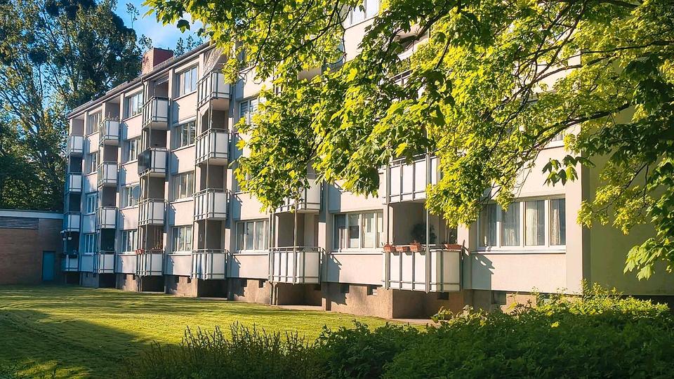 Thumbnail-3 Zimmer Wohnung zu vermieten