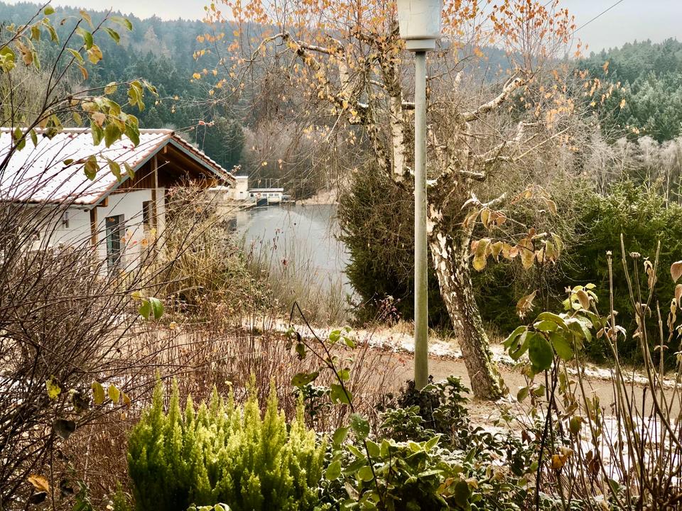 Thumbnail-Ostern in der Natur ⭐️ Ferienhaus Privat Wald Aussicht ⭐️