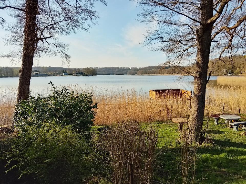 Thumbnail-Ferienhaus direkt am Haussee Ferienzimmer 17258 Feldberg Urlaub