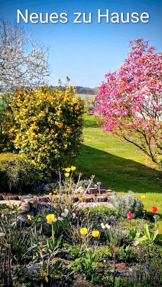 Thumbnail-Ihr Traumhaus Nähe Plau am See