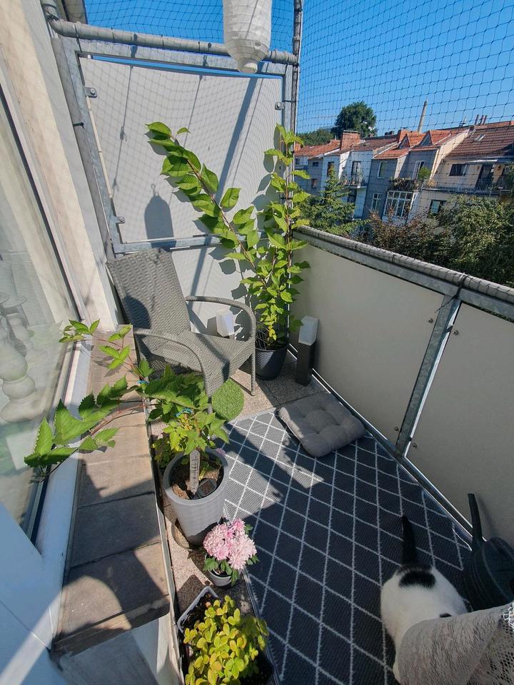 Thumbnail-2 Zimmer WohnungANFRAGESTOP!