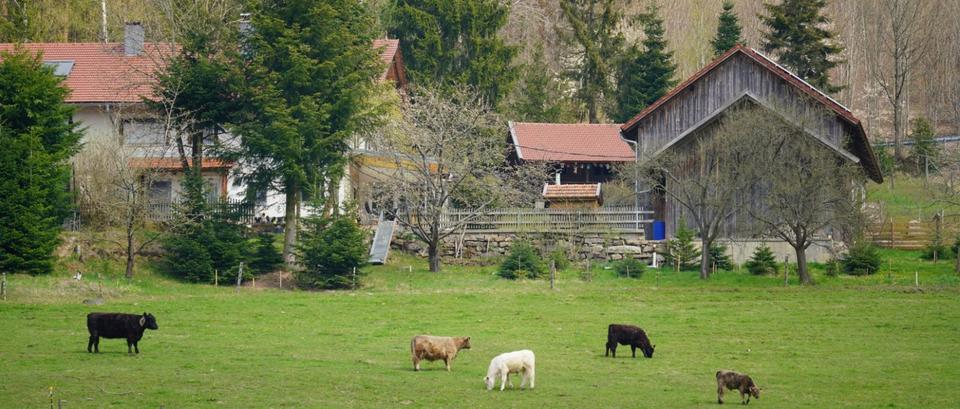 Thumbnail-Urlaub auf dem Simmerlhof - 4*Ferienwohnung* 05.04-12.04.26 2E+2K