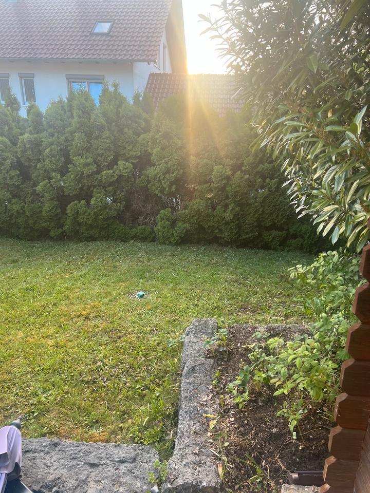 Thumbnail-Lichtdurchflutete Whg. mit EBK, Tageslichtbad und eig. Garten