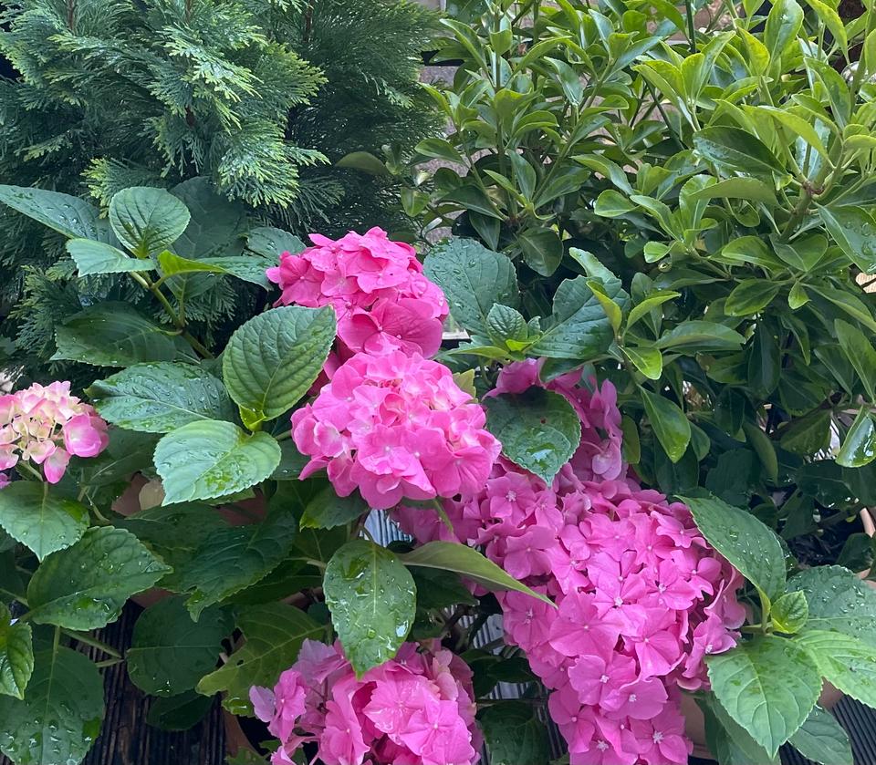 Thumbnail-Ein neues Zuhause in Eckernförde