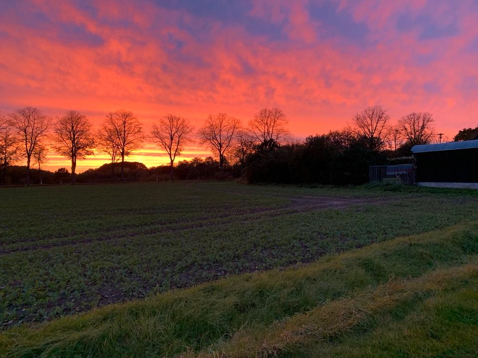 Thumbnail-Mietwohnung in Bad Essen