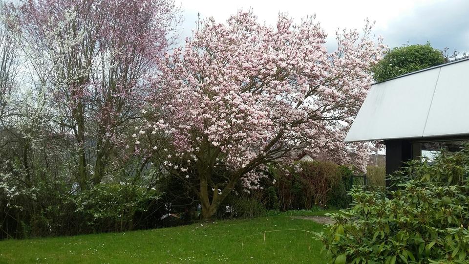 Thumbnail-Repräsentativ in exklusiver Aussichtslage von Bad Godesberg
