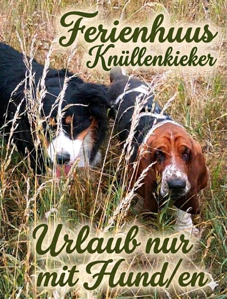 Thumbnail-Ferien mit Hund im Ferienhaus **GreetsielOstfriesland**