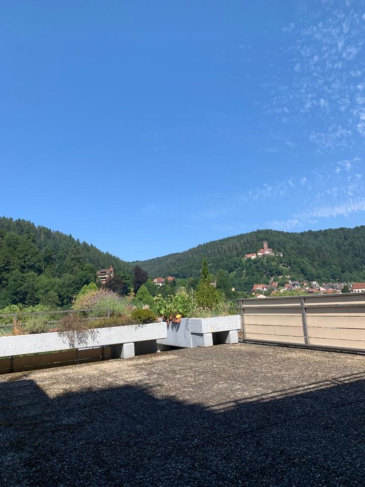 Thumbnail-2,5 Zimmer Wohnung NEU Renoviert