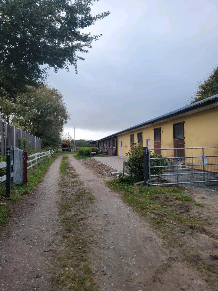 Thumbnail-2 Zimmer Wohnung auf Pferdehof