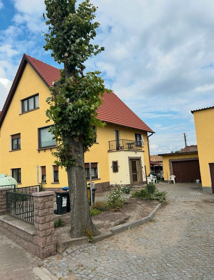 Thumbnail-Großes freistehendes Einfamilienhaus mit Garten, Keller, Garage