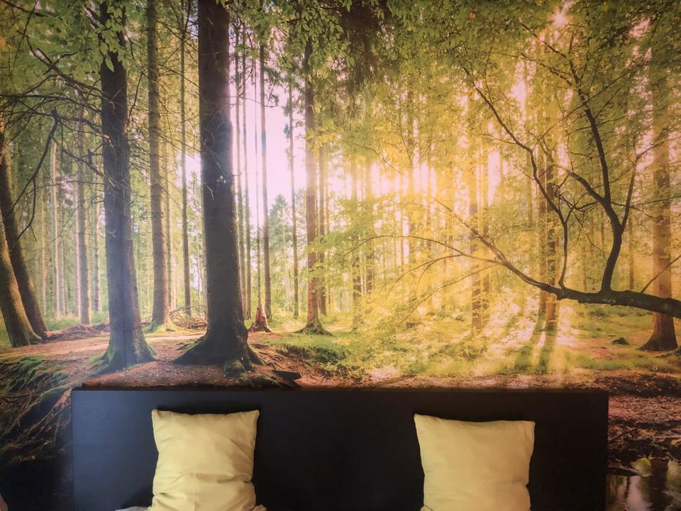 Thumbnail-Sommerurlaub Harz