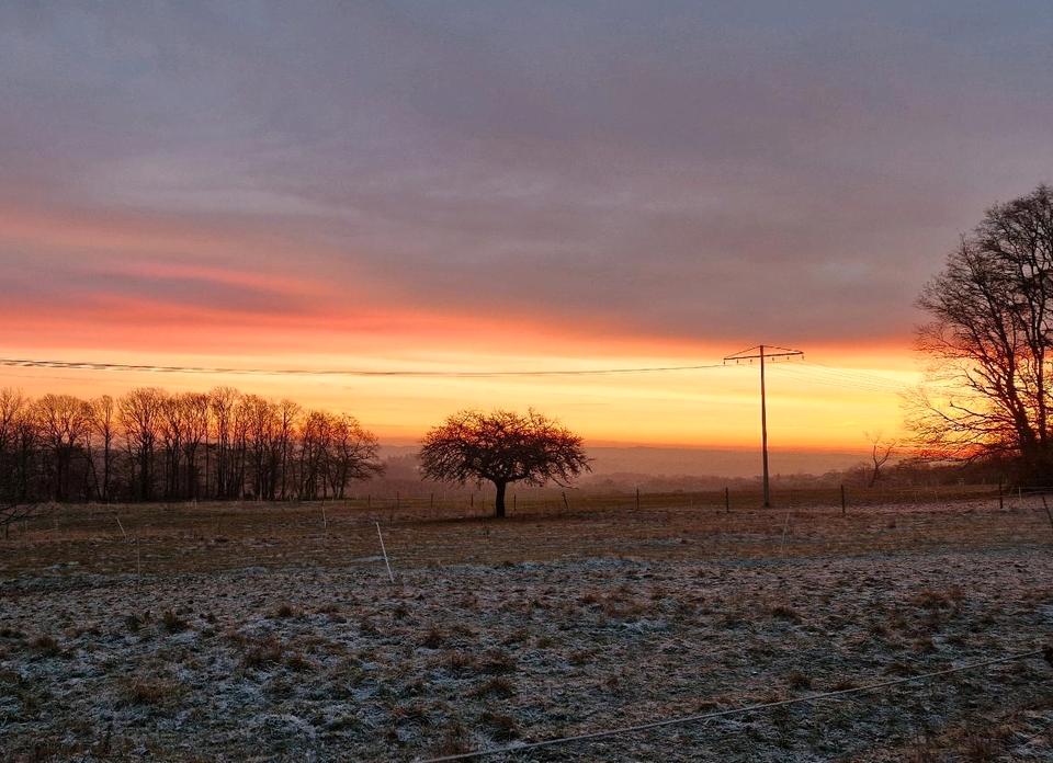 Thumbnail-Ferienwohnung auf Pferdehof