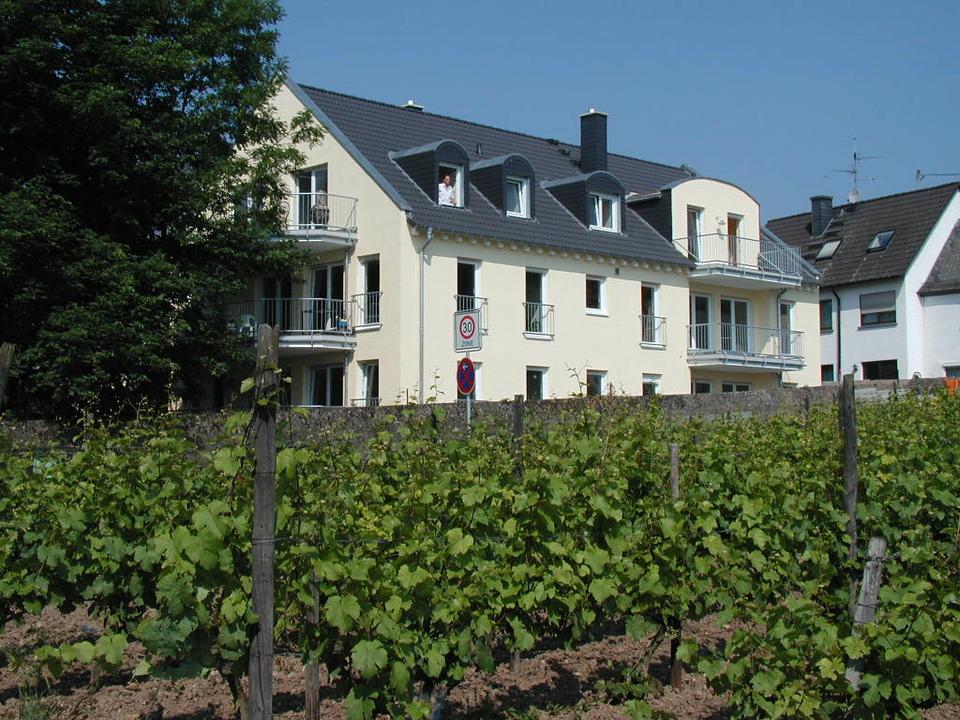 Thumbnail-Wohntraum im Rheingau, 4 ZKBB, direkt am Rhein, Provisionsfrei!