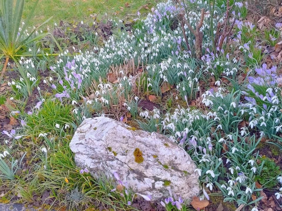 Thumbnail-2-Zimmer-Wohnung mit Terrasse und Weitblick