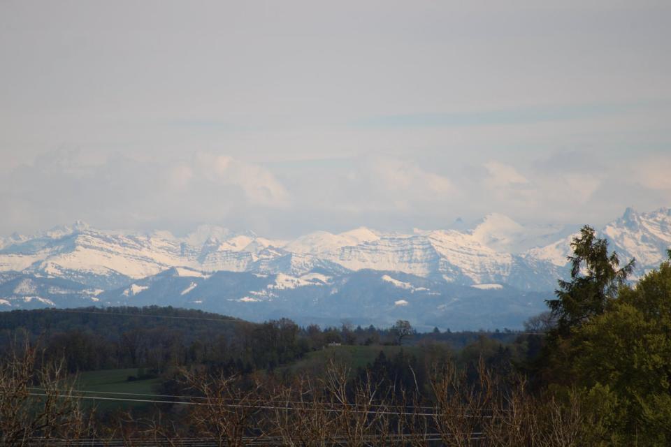 Thumbnail-Enegieeffizienz A25+ Kernsanierte Oase im Schwarzwald, Weitsicht