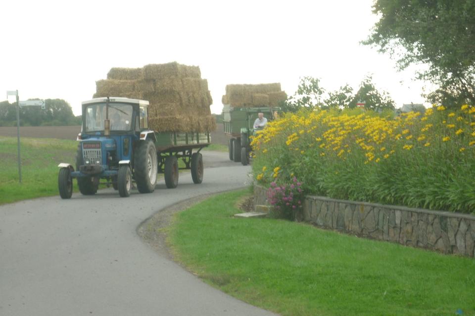 Thumbnail-Urlaub auf dem Bauernhof (Ostseeinsel Fehmarn)