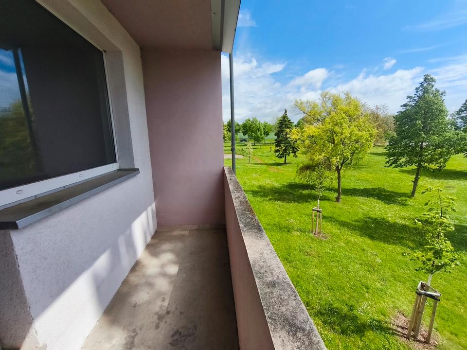 Thumbnail-Zweiraumwohnung frisch renoviert mit Blick ins Grüne!