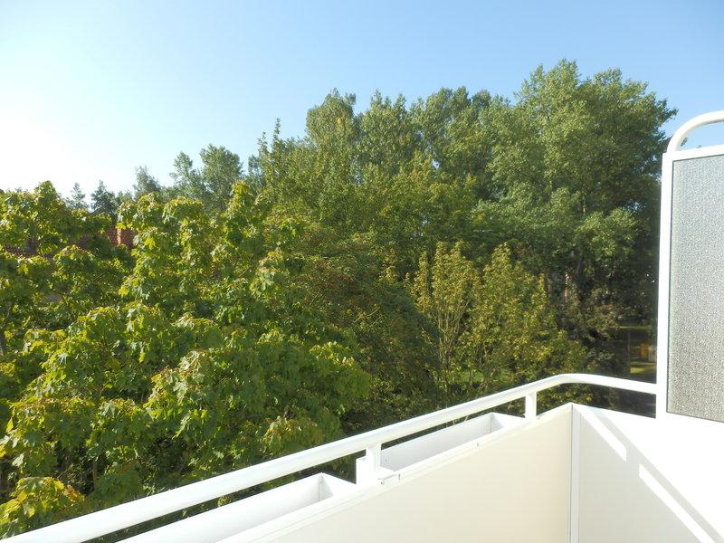 Thumbnail-ZWEI Zimmer+ Balkon+ Einbauküche im grünen Altendorf