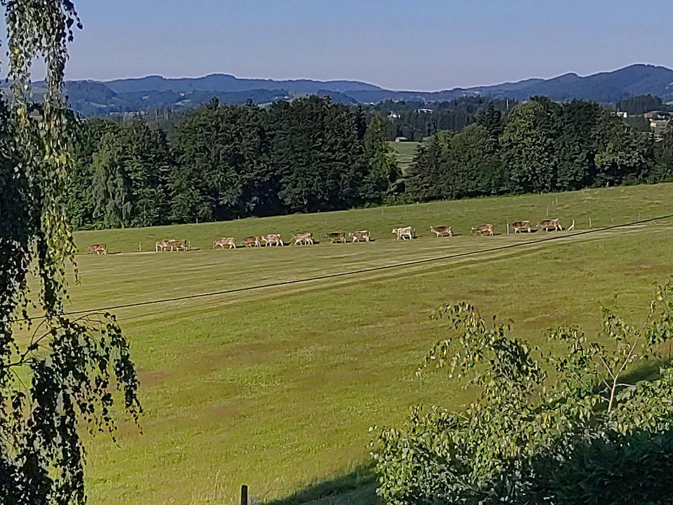 Thumbnail-Wohnen auf Zeit, ruhige Lage im Grünen und doch nicht abgelegen