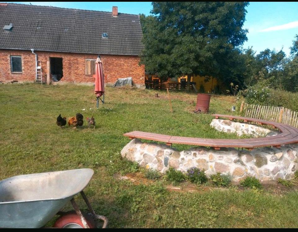 Thumbnail-1 ha Grundstück mit Altbestand und Baugenehmigung für 2 tolle WE