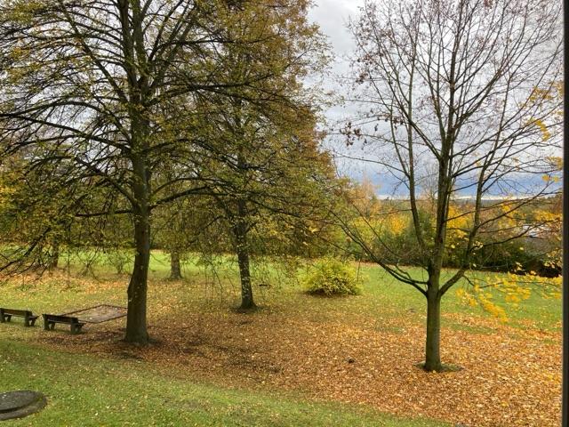 Thumbnail-sanierte 1 Raum Wohnung mit Dusche im Erdgeschoss