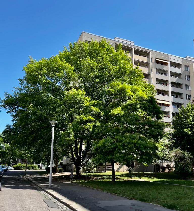 Thumbnail-3 Raumwohnung mit Balkon ab dem 1.Februar verfügbar