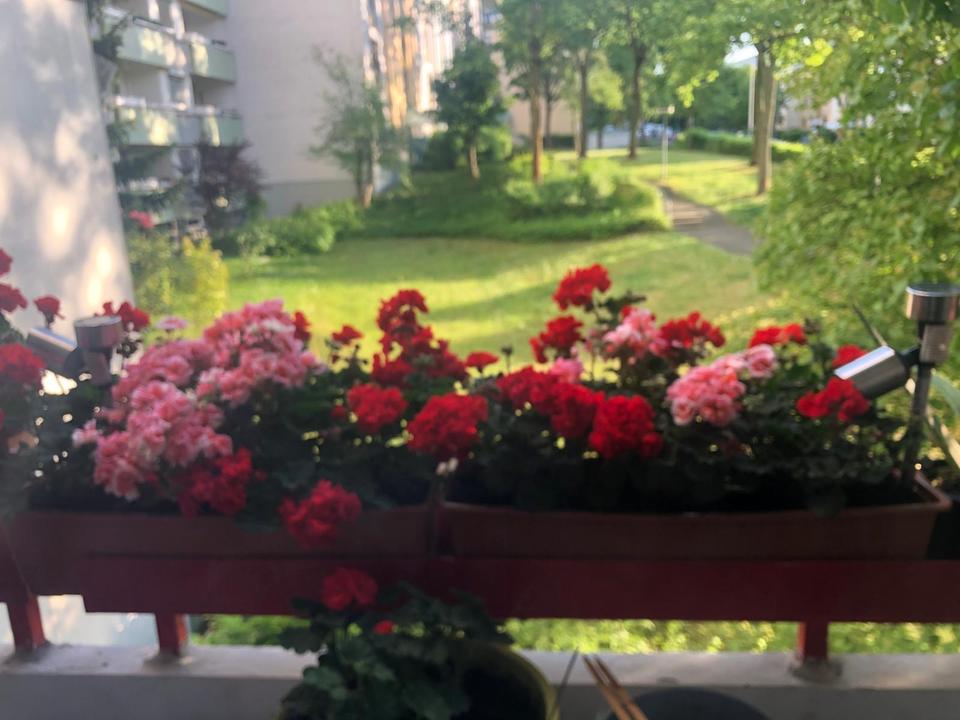 Thumbnail-Sehr schöne 3 Zimmer Wohnung zum verkaufen direkt von Eigentum