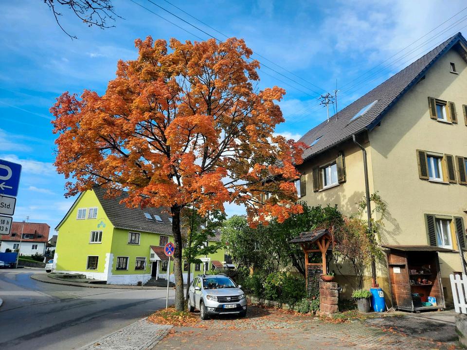 Thumbnail-gelegenheit in affalterbach.haus mit 3 wohnungen 2350m2 platz