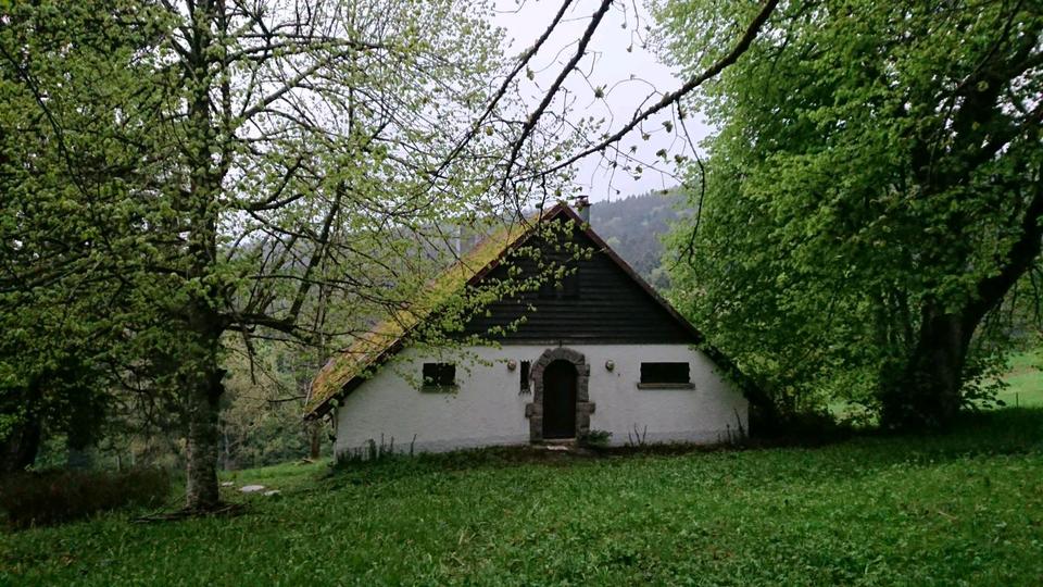 Thumbnail-Bergchâlet im südlichen Elsass
