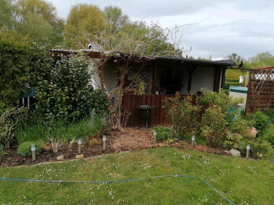 Thumbnail-Garten in KGV 