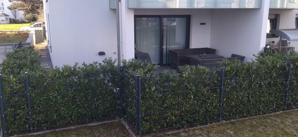 Thumbnail-Hochwertige 4-Zi-Neubauwohnung (109 m²) mit privaten Gartenfläche