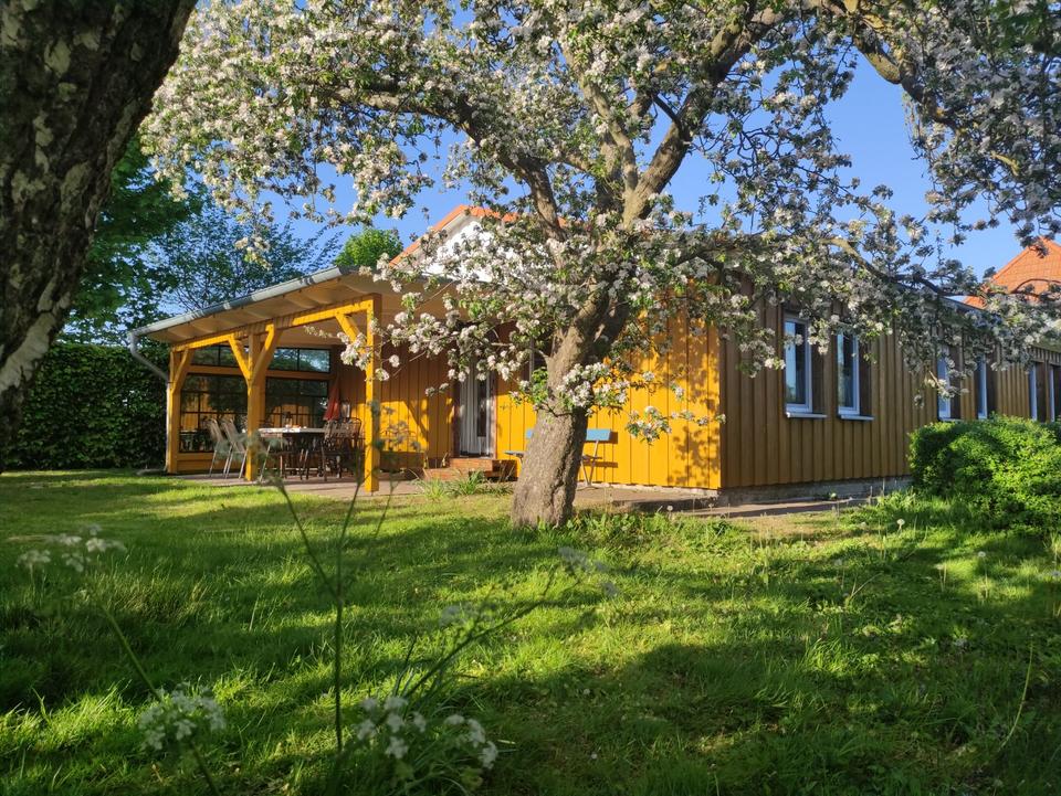 Thumbnail-Ferienhaus Ostseenähe bis 7 Personen - Zingst, Darß, Barth