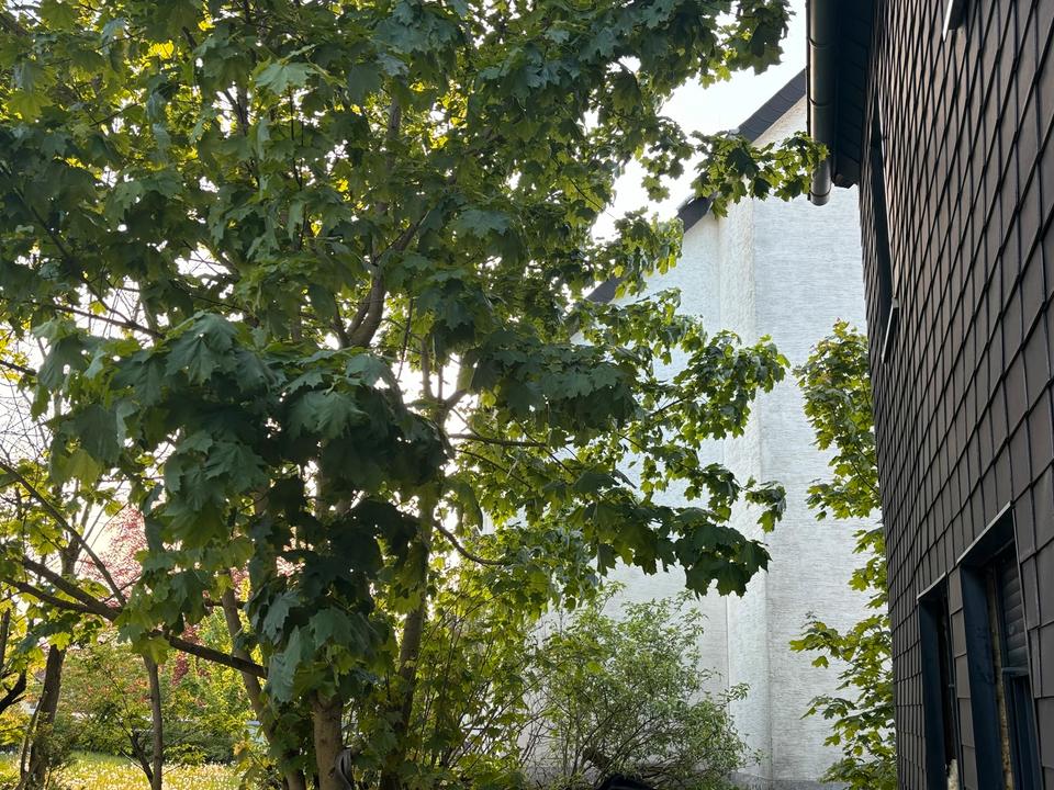 Thumbnail-Zentrale 4-Zimmer Wohnung im EG mit Stellplatz – 108 m² in Brilon