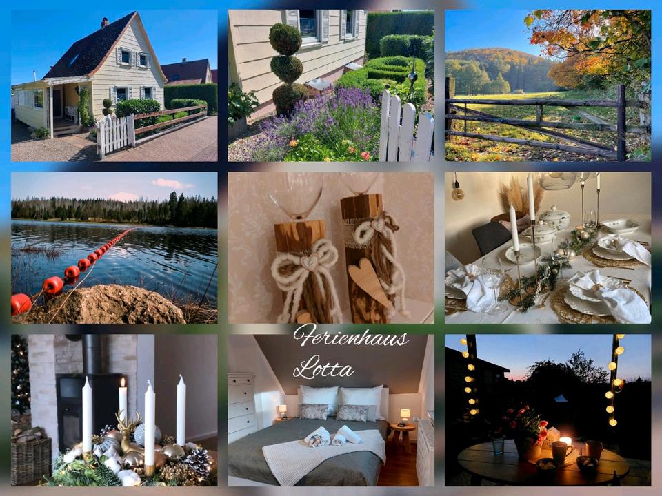 Thumbnail-Ferienhaus Ferienwohnung im Harz, Last Minute Ostern frei