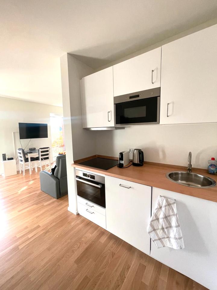 Thumbnail-Möbliertes 1-Zimmer-Apartment im Neubau mit Süd-Terrasse