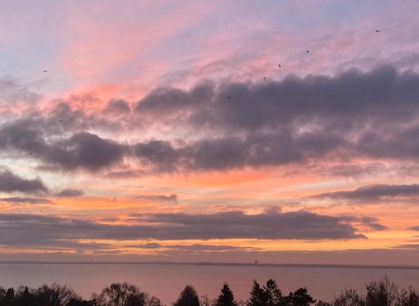 Thumbnail-Wohnung mit Ostseeblick zu vermieten