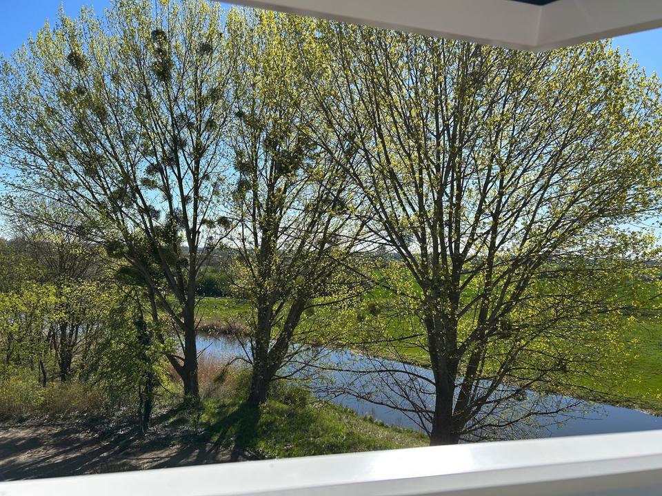 Thumbnail-3 Raumwohnung mit Blick ins Grüne