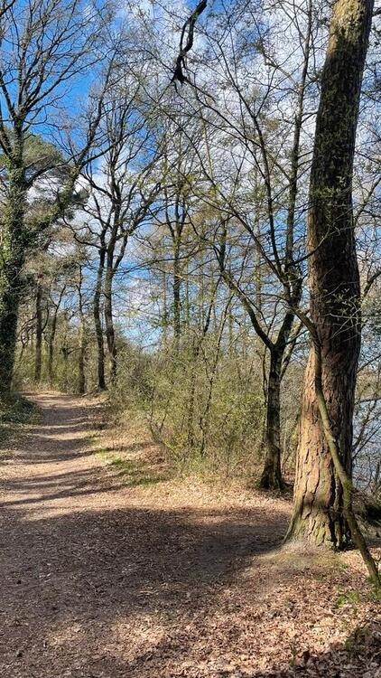 Thumbnail-Feriendomizil Mobilheim Tinyhouse Harkebrügger See Strand Hund