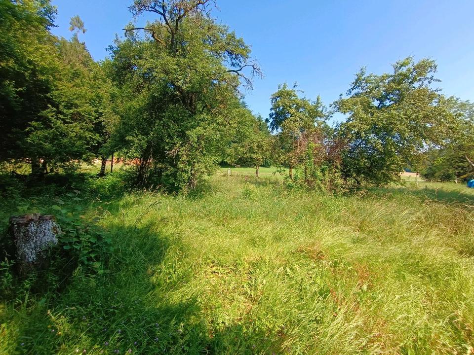 Thumbnail-kleiner Bauernhof mit Scheune Halle Einfamilienhaus
