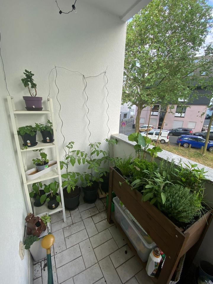 Thumbnail-2 Zimmer Eigentumswohnung mit Balkon & Stellplatz Darmstadt Mitte