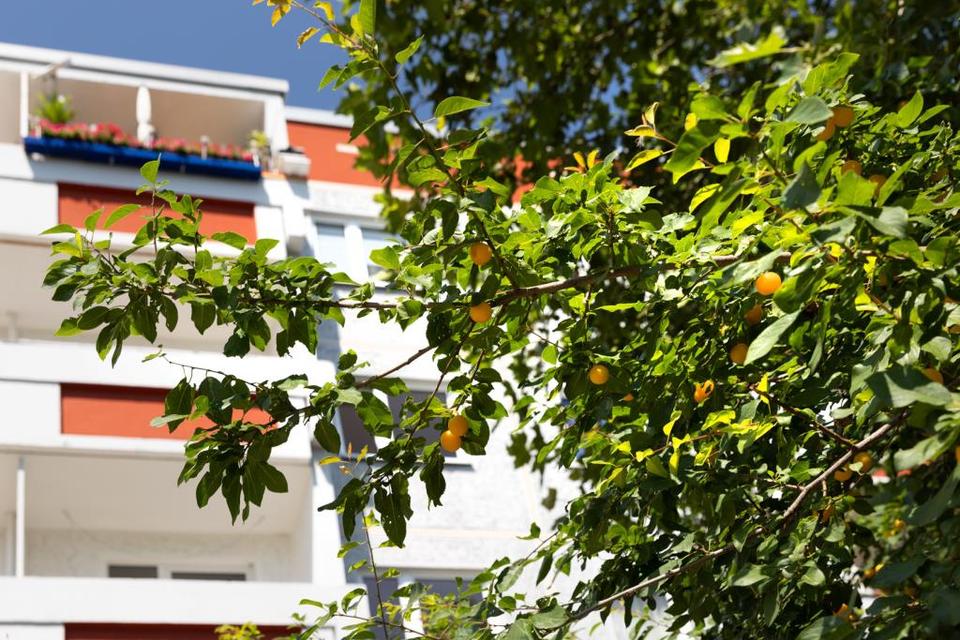 Thumbnail-Wohntraum mit Balkon