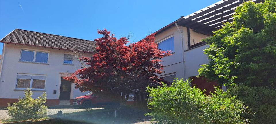 Thumbnail-Mehrfamilienhaus Kreis Kusel von privat – ohne Maklercourtage!