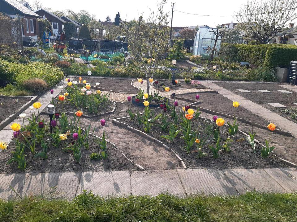 Thumbnail-Kleingarten