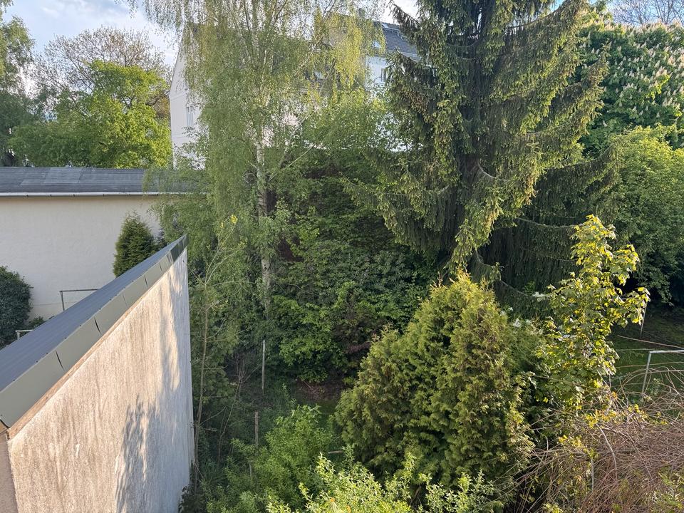 Thumbnail-MFH oder Einfamilienhaus,